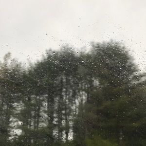 Meet your Posher, Riley